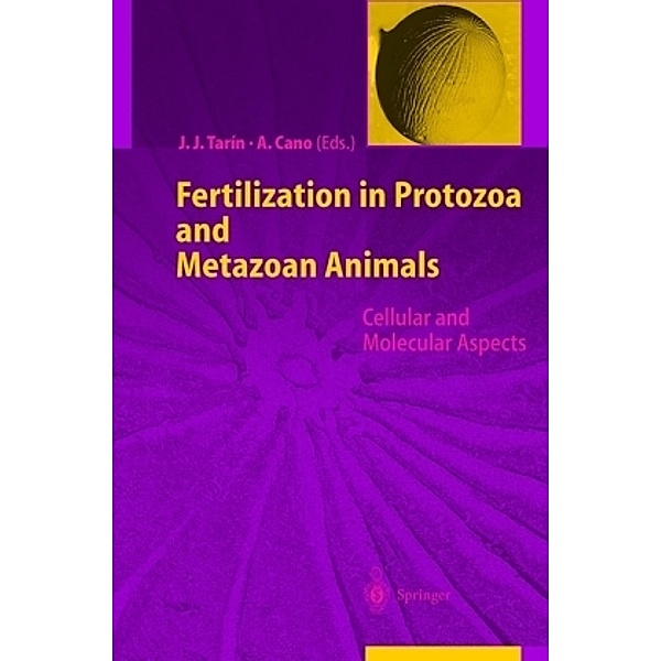 Fertilization in Protozoa and Metazoan Animals
