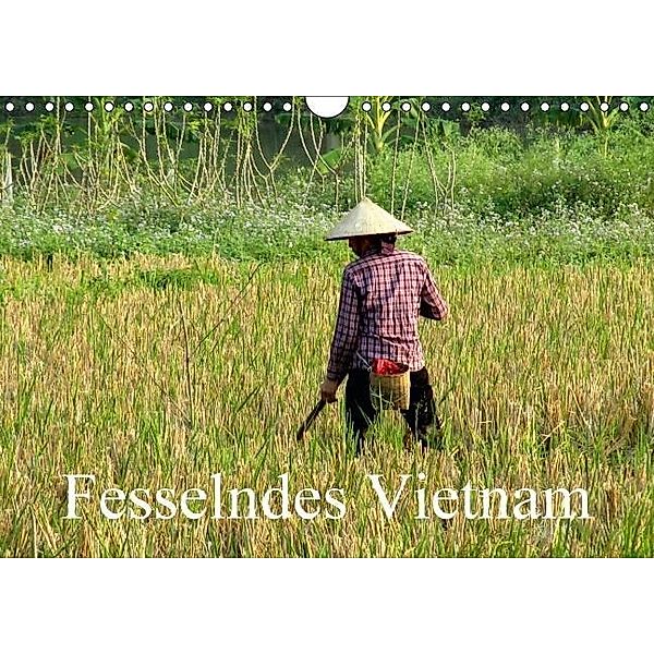 Fesselndes Vietnam (Wandkalender 2016 DIN A4 quer), Vera Voigt