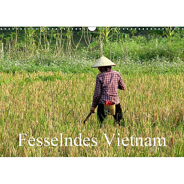 Fesselndes Vietnam (Wandkalender 2019 DIN A3 quer), Vera Voigt