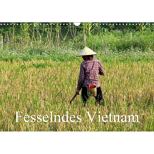 Fesselndes Vietnam (Wandkalender 2020 DIN A3 quer), Vera Voigt