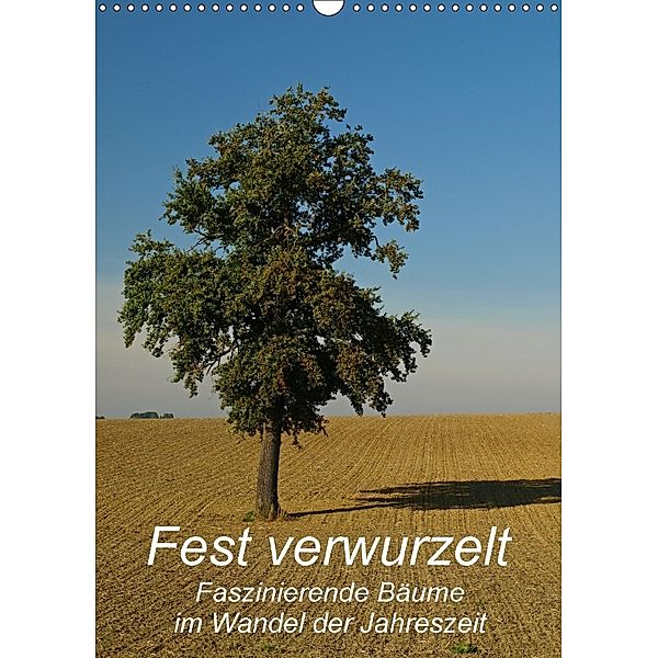 Fest verwurzelt - Faszinierende Bäume im Wandel der Jahreszeit (Wandkalender 2018 DIN A3 hoch), Brigitte Deus-Neumann