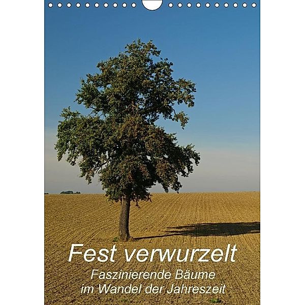 Fest verwurzelt - Faszinierende Bäume im Wandel der Jahreszeit (Wandkalender 2017 DIN A4 hoch), Brigitte Deus-Neumann