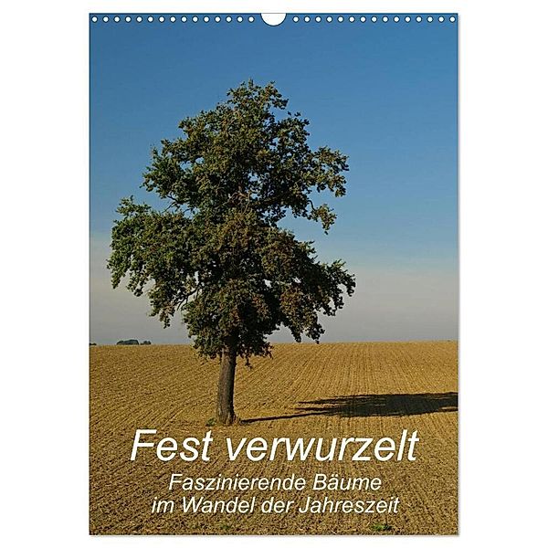 Fest verwurzelt - Faszinierende Bäume im Wandel der Jahreszeit (Wandkalender 2024 DIN A3 hoch), CALVENDO Monatskalender, Dr. Brigitte Deus-Neumann