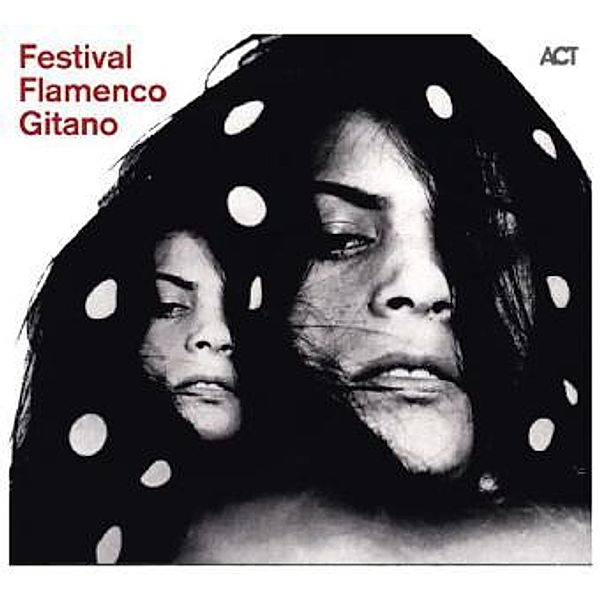 Festival Flamenco Gitano, Various