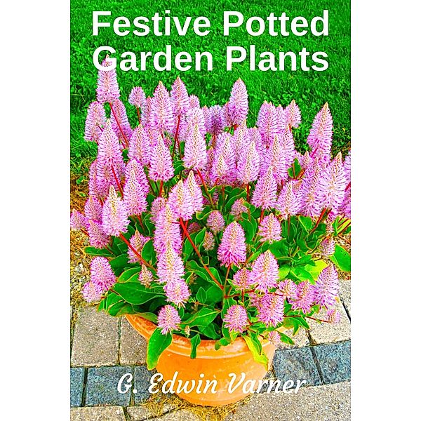 Festive Potted Garden Plants, G. Edwin Varner