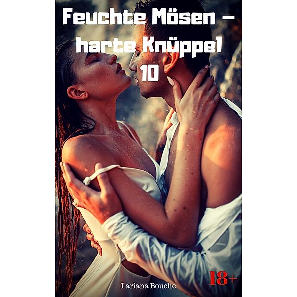 Feuchte Mösen - harte Knüppel 10 / Feuchte Mösen - harte Knüppel Bd.10, Lariana Bouche