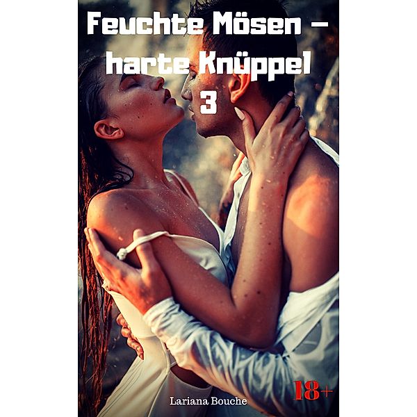 Feuchte Mösen - harte Knüppel: 3 Feuchte Mösen - harte Knüppel 3, Lariana Bouche