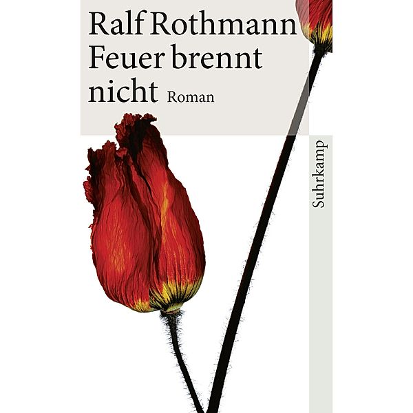 Feuer brennt nicht, Ralf Rothmann