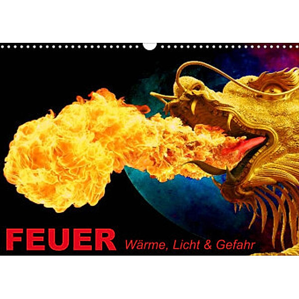 Feuer - Wärme, Licht & Gefahr (Wandkalender 2022 DIN A3 quer), Elisabeth Stanzer
