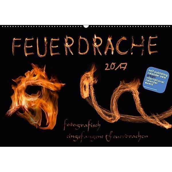 Feuerdrache (Wandkalender 2017 DIN A2 quer), Kamran v.Kleist