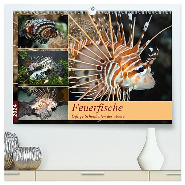 Feuerfische - Giftige Schönheiten der Meere (hochwertiger Premium Wandkalender 2024 DIN A2 quer), Kunstdruck in Hochglanz, B. Mielewczyk