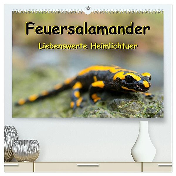 Feuersalamander - Liebenswerte Heimlichtuer (hochwertiger Premium Wandkalender 2024 DIN A2 quer), Kunstdruck in Hochglanz, Carola Vahldiek