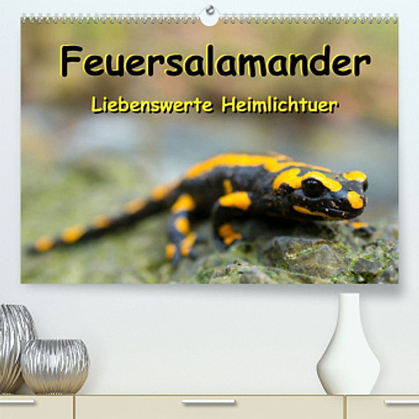 Feuersalamander - Liebenswerte Heimlichtuer (Premium, hochwertiger DIN A2 Wandkalender 2022, Kunstdruck in Hochglanz), Carola Vahldiek