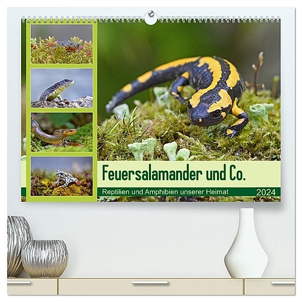 Feuersalamander und Co. (hochwertiger Premium Wandkalender 2024 DIN A2 quer), Kunstdruck in Hochglanz, Gugigei