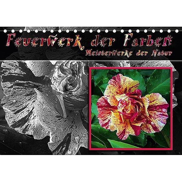 Feuerwerk der Farben - Meisterwerke der Natur / Geburtstagskalender (Tischkalender 2017 DIN A5 quer), Monika Reiter