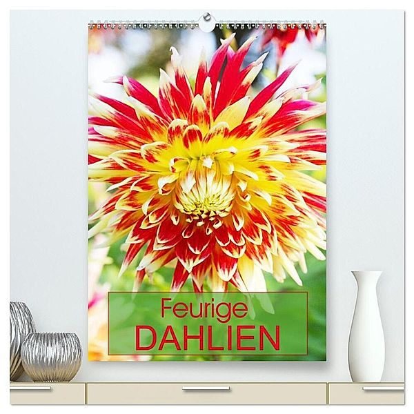 Feurige Dahlien (hochwertiger Premium Wandkalender 2025 DIN A2 hoch), Kunstdruck in Hochglanz, Calvendo, Gisela Kruse