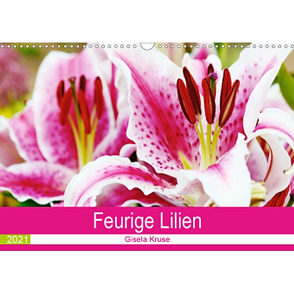 Feurige Lilien (Wandkalender 2021 DIN A3 quer), Gisela Kruse