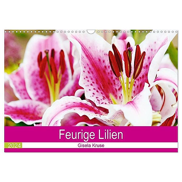 Feurige Lilien (Wandkalender 2024 DIN A3 quer), CALVENDO Monatskalender, Gisela Kruse