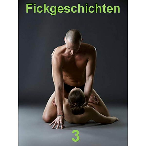 Fickgeschichten 3, S. Schmid