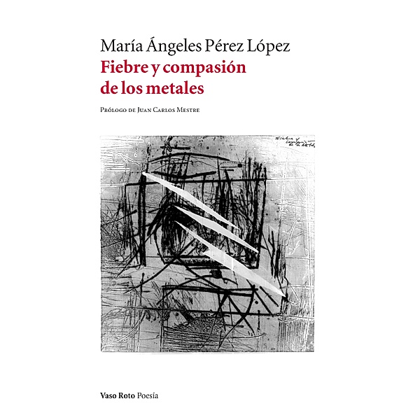 Fiebre y compasión de los metales / Poesía Bd.92, María Ángeles Pérez López