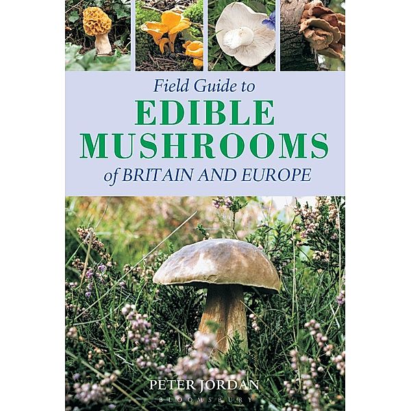 Field Guide To Edible Mushrooms Of Britain And Europe, Peter Jordan