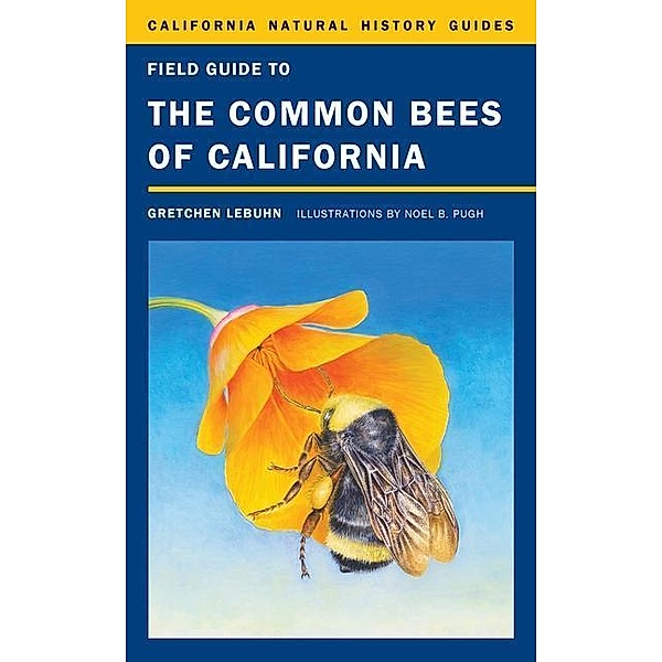 Field Guide to the Common Bees of California / California Natural History Guides Bd.107, Gretchen Lebuhn