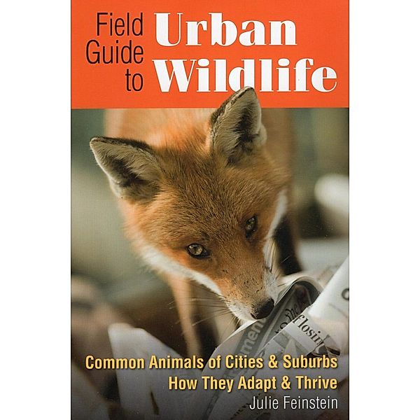 Field Guide to Urban Wildlife, Julie Feinstein