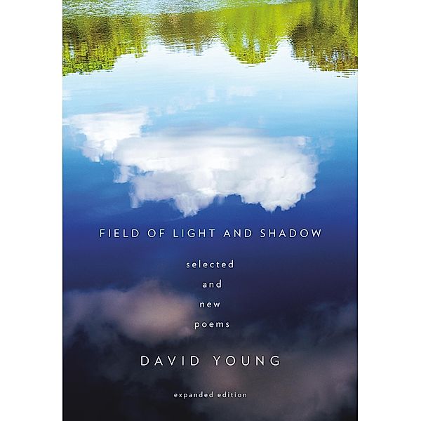 Field of Light and Shadow, David Young