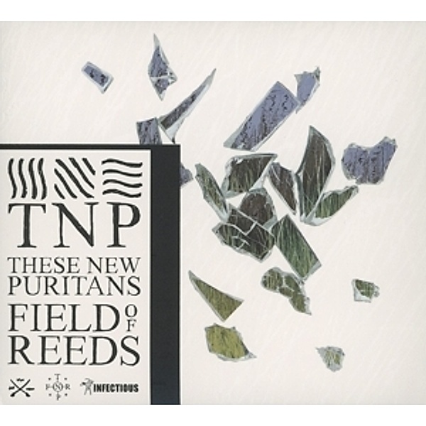 Field Of Reeds, These New Puritans