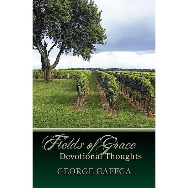 Fields of Grace, George Gaffga