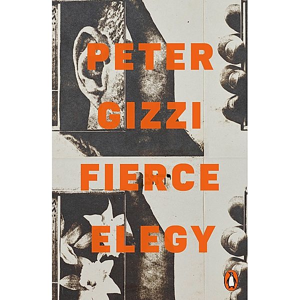 Fierce Elegy, Peter Gizzi