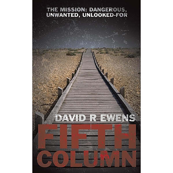 Fifth Column / Frank Sterling Cases Bd.4, David Ewens