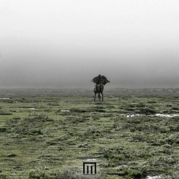 Figure In Field (Vinyl), Markus Wormstorm