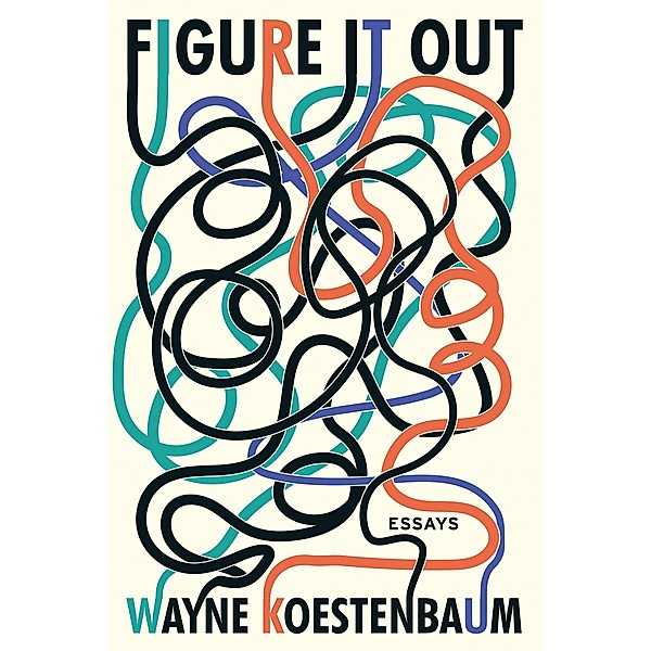 Figure It Out, Wayne Koestenbaum