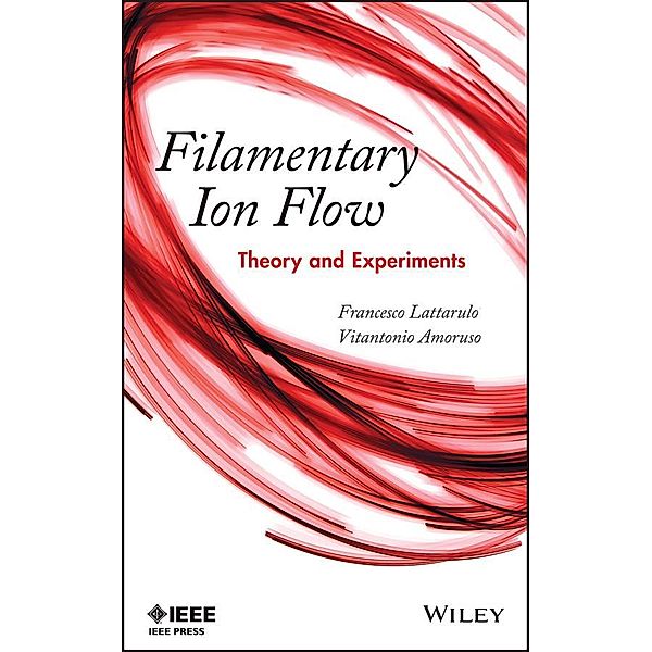 Filamentary Ion Flow, Francesco Lattarulo, Vitantonio Amoruso