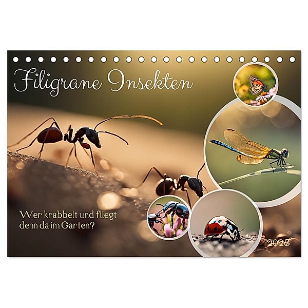 Filigrane Insekten (Tischkalender 2025 DIN A5 quer), CALVENDO Monatskalender, Calvendo, Claudia Kleemann