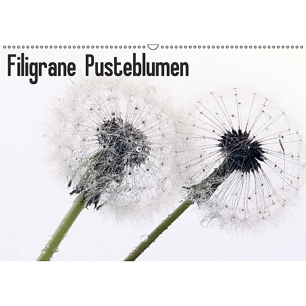 Filigrane Pusteblumen / Geburtstagskalender (Wandkalender 2018 DIN A2 quer), SchnelleWelten