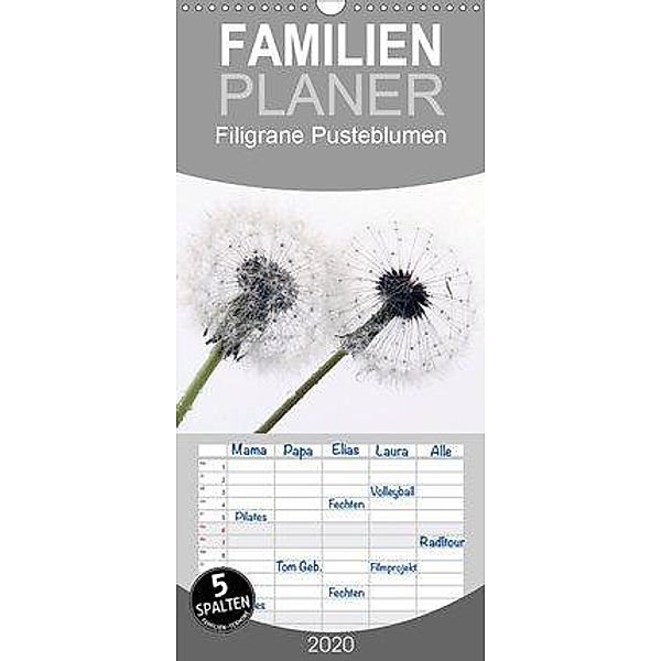 Filigrane Pusteblumen / Geburtstagskalender - Familienplaner hoch (Wandkalender 2020 , 21 cm x 45 cm, hoch)