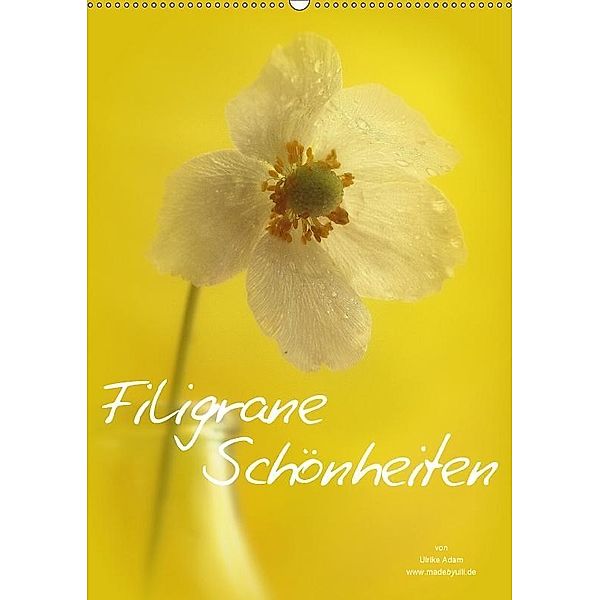 Filigrane Schönheiten 2017 (Wandkalender 2017 DIN A2 hoch), Ulrike Adam