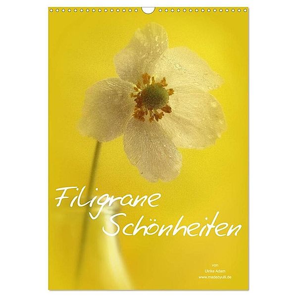 Filigrane Schönheiten 2024 (Wandkalender 2024 DIN A3 hoch), CALVENDO Monatskalender, Ulrike Adam