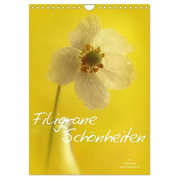 Filigrane Schönheiten 2024 (Wandkalender 2024 DIN A4 hoch), CALVENDO Monatskalender, Ulrike Adam