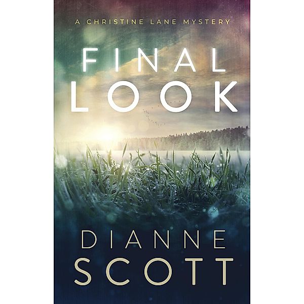 Final Look (A Christine Lane Mystery, #1) / A Christine Lane Mystery, Dianne Scott