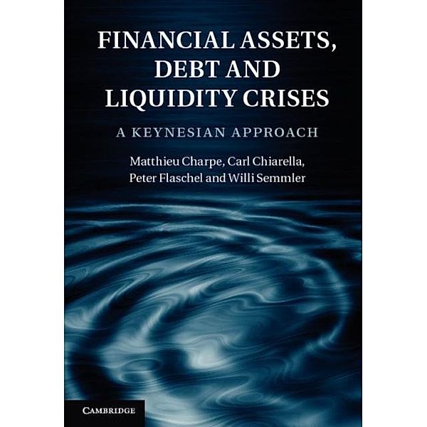 Financial Assets, Debt and Liquidity Crises, Matthieu Charpe