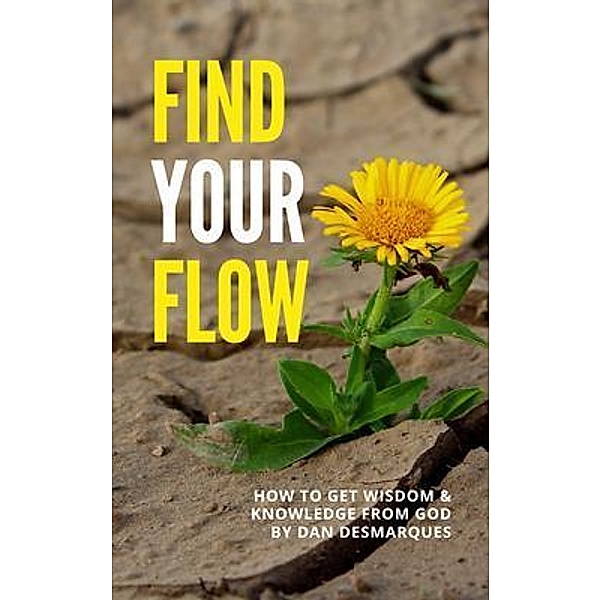 Find Your Flow / 22 Lions Bookstore, Dan Desmarques