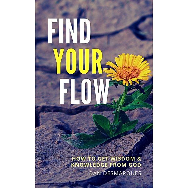 Find Your Flow: How to Get Wisdom and Knowledge from God, Dan Desmarques