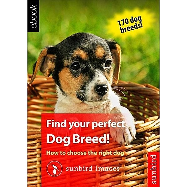 Find your perfect Dog Breed!, Sunbird Images