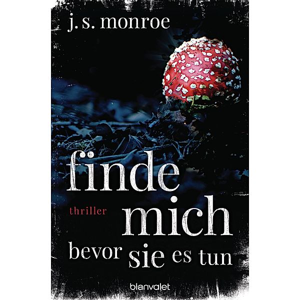 Finde mich - bevor sie es tun, J. S. Monroe