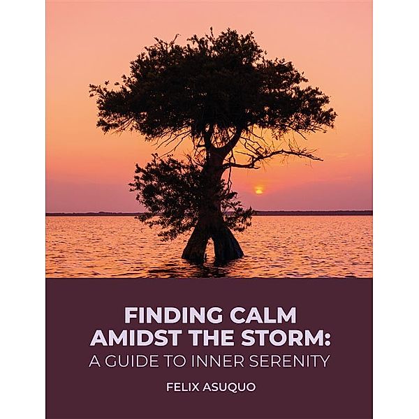 Finding Calm Amidst the Storm: A Guide to Inner Serenity, Felix Asuquo