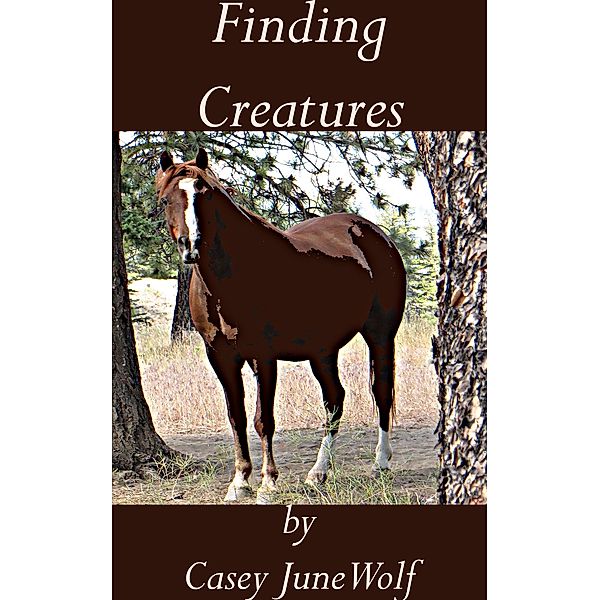 Finding Creatures, Casey June Wolf