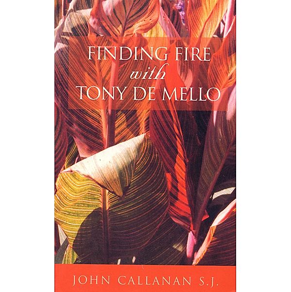 Finding Fire With Tony De Mello, John Callanan